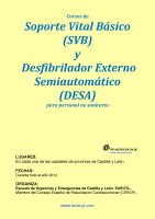 Cartel IPISVB+DESA