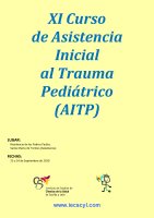 Cartel XI Curso AITP