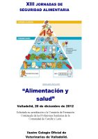 Cartel XIII Jornadas de Seguridad Alimentaria: Alimentación y Salud.