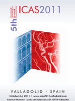 Cartel V Congreso Internacional de ICTUS