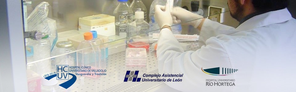 Investigación