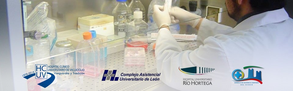 Investigación