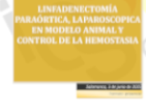 Linfadenectomía Paraórtica, Laparoscopica en Modelo Animal y Control de la Hemostasia