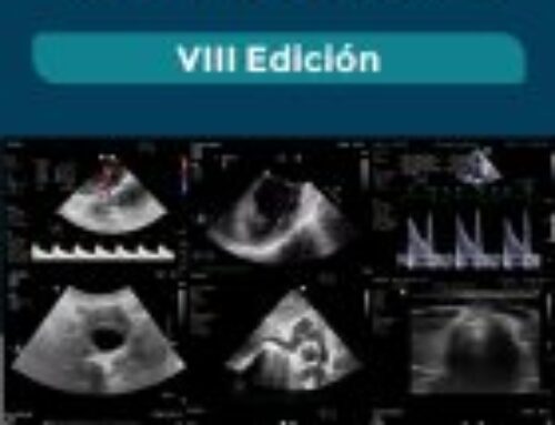 VIII Curso Avanzado de Ecografía en el Paciente Crítico