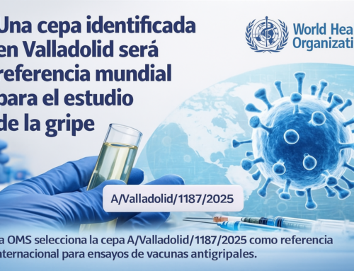 Una cepa identificada en Valladolid será referencia mundial para el estudio de la gripe
