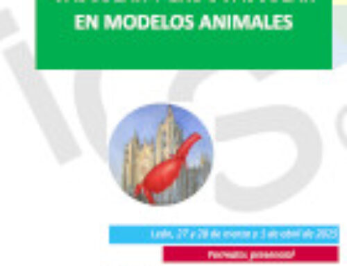 24º Curso Cirugía Vascular y Endovascular en Modelos Animales